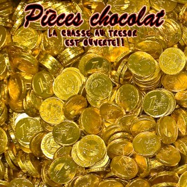 bonbon-chocolat;hamlet-pieces-en-chocolat-piece-monnaie-chocolat